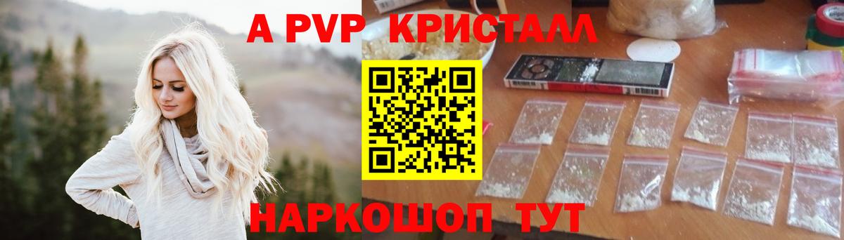 Alfa_PVP кристаллы  Вход с VPN  A-PVP кристаллы  Майкоп  купить закладку  A PVP Crystall 