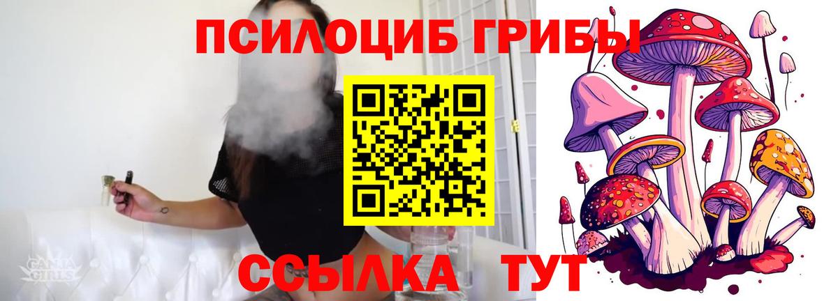 Галлюциногенные грибы Magic Shrooms  Вход с VPN  Майкоп 