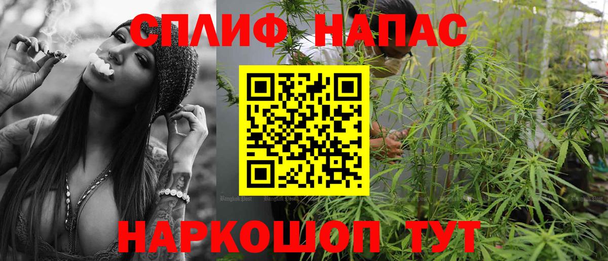 Марихуана конопля Майкоп
